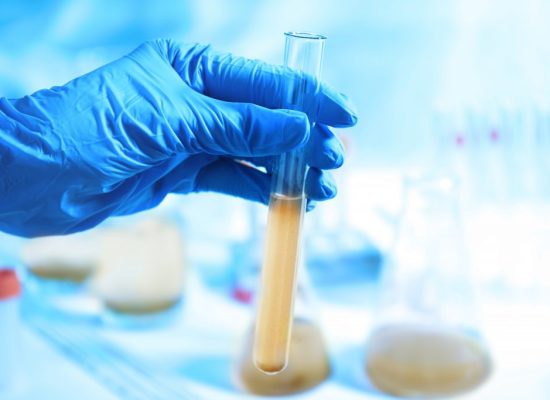Micro-Biological-Testing-1024x683